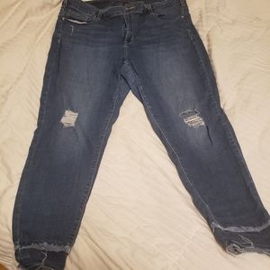 Lane Bryant skinny jeans